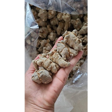Củ Tam Thất Bắc Sấy Khô