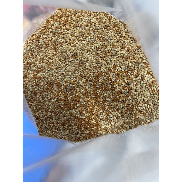HẠT KÊ 2 màu. túi 1kg. kê cho cu gáy,vẹt,hamter.sẻ nhật.manh manh...