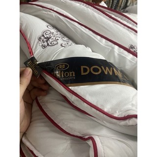Ruột Chăn Cao Cấp Hilton - Chăn Thu Đông