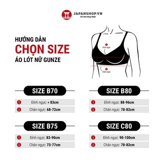 Áo lót nữ không gọng phối ren, áo ngực cao cấp kháng khuẩn thấm hút mồ hôi nội địa Nhật chính hãng Tuché Gunze JB6019H