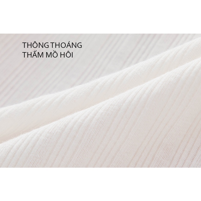 Quần lót nữ combo 5 mẫu cotton mềm mịn,thoáng khí  309