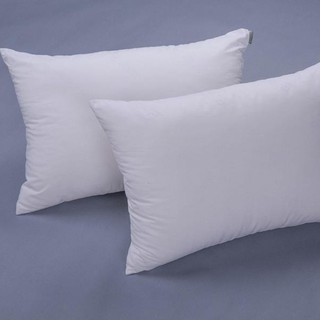 COMBO 10 RUỘT GỐI ĐẦU KÍCH THƯỚC 45cmx65cm