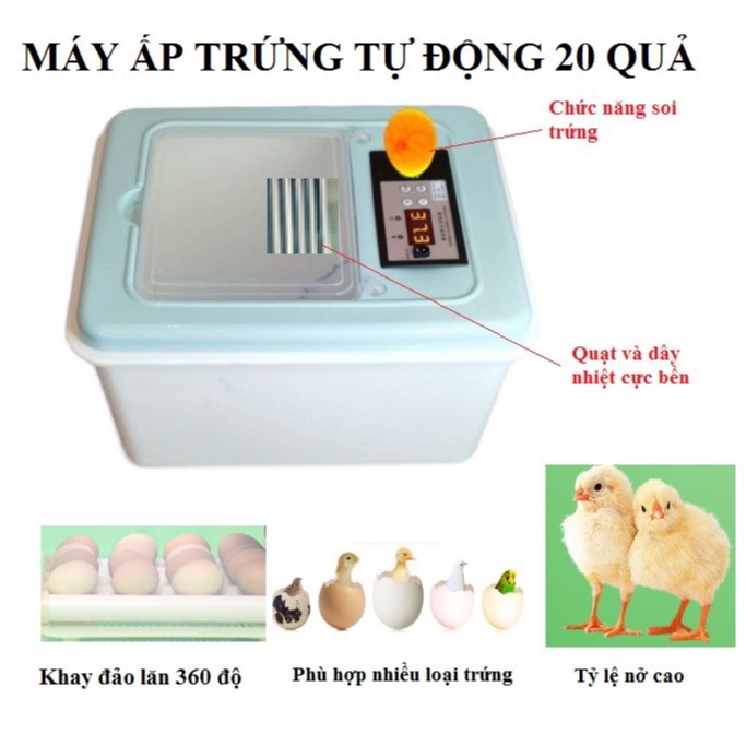 Máy ấp trứng tự động mini cao cấp 20 quả tiết kiệm điện( Sẵn hàng gửi ngay)