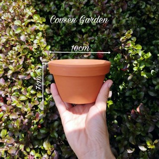 [Bao Bể Vỡ ] Chậu Đất Nung Trồng Sen Đá / Lùn 10 x 7 cm.