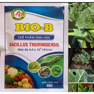 Bio B, chế phẩm sinh học .