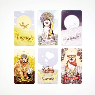 Bộ Bài Aibo Tarot 78 Lá Bài E116