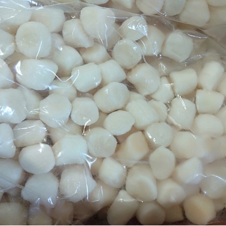 Cồi sò điệp Việt - nướng, áp chảo, nấu súp, xào siêu ngon 500gr