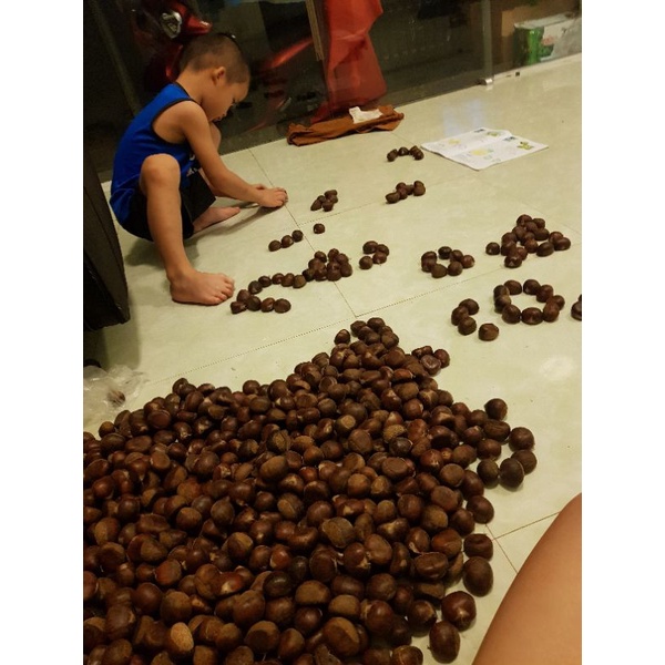 COMBO 3Kg HẠT DẺ SAPA TƯƠI LOẠI 1 THƠM NGON BỞ BÙI