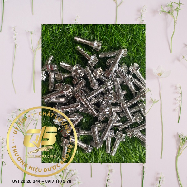 Ốc Phay Thái Inox 304 Sáng Bóng 6LI10,6LI20,6LI30,6LI40,6LI50,6LI60,6LI70,6LI80,6LI90. BH 1 đổi 1