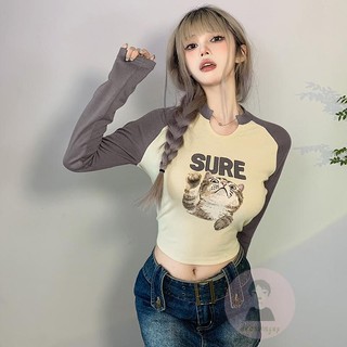 Áo thun raglan tay dài in hình mèo dễ thương cho nữ