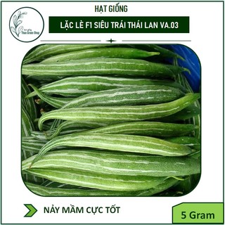 Hạt giống Lặc Lè Thái F1 Siêu Quả VA.03