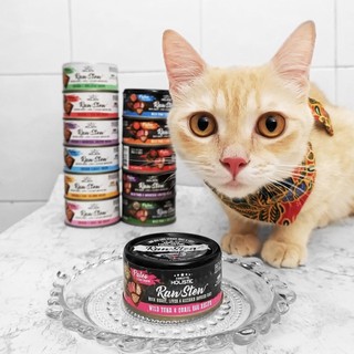 Pate Absolute Holistic Raw Stew cho Chó Mèo (80g)
