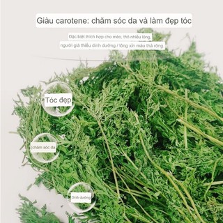 Lá cà rốt🥕