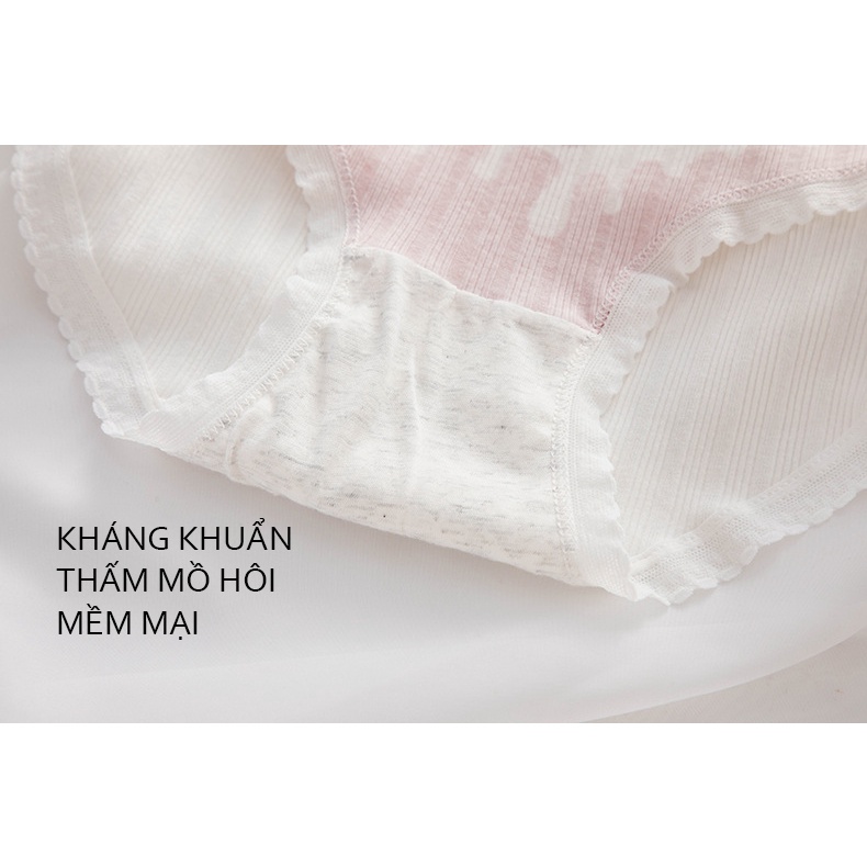 Quần lót nữ combo 5 mẫu cotton mềm mịn,thoáng khí  309
