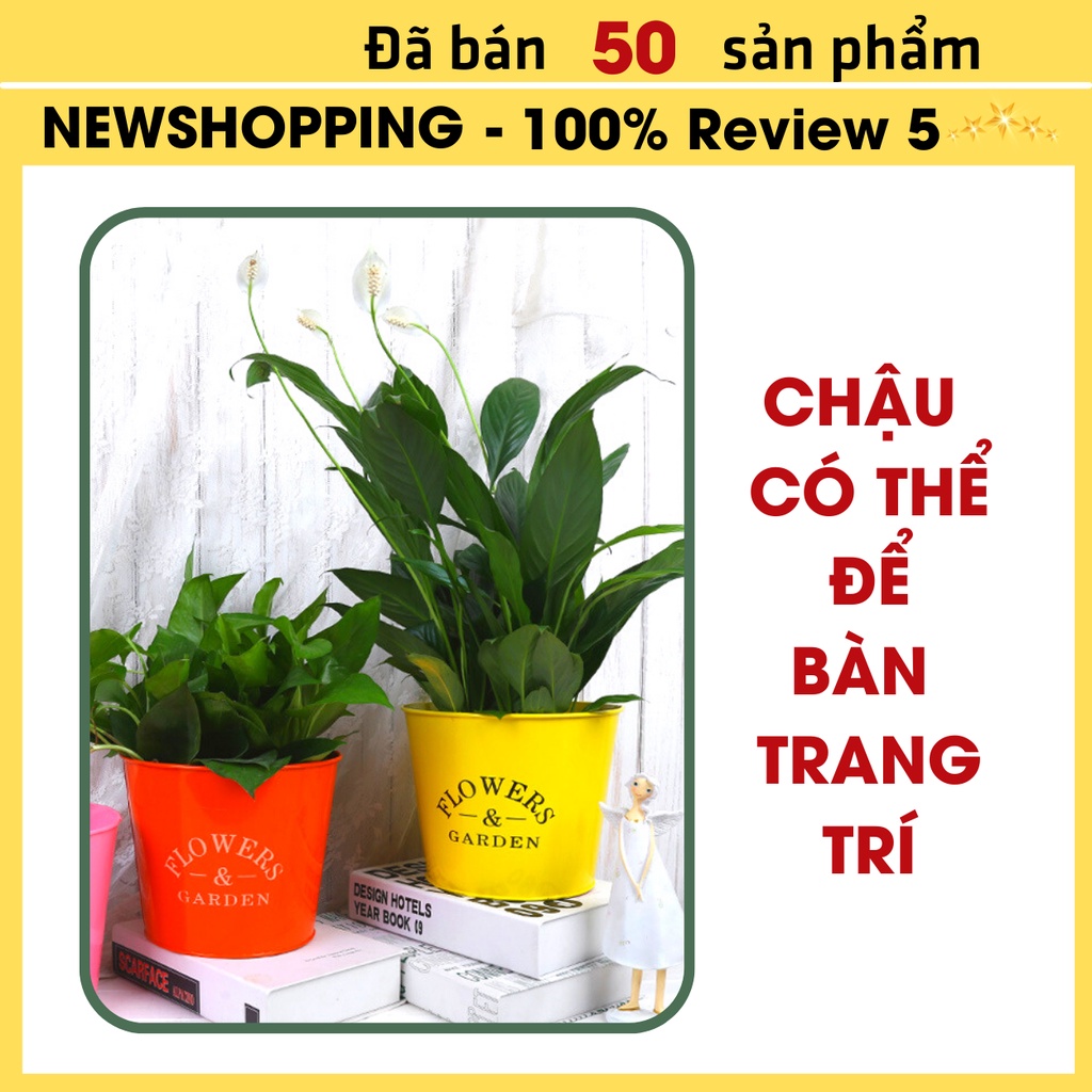 Chậu sắt trồng hoa, xô cắm hoa bằng thiếc decor phong cách Vintage