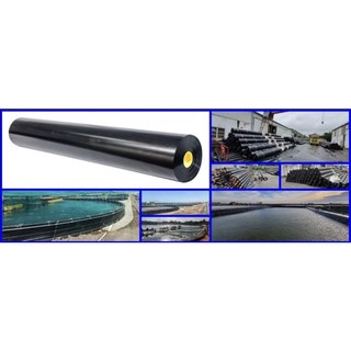 Bạt chống thấm hdpe khổ 6m x 1m dày 0.3mm