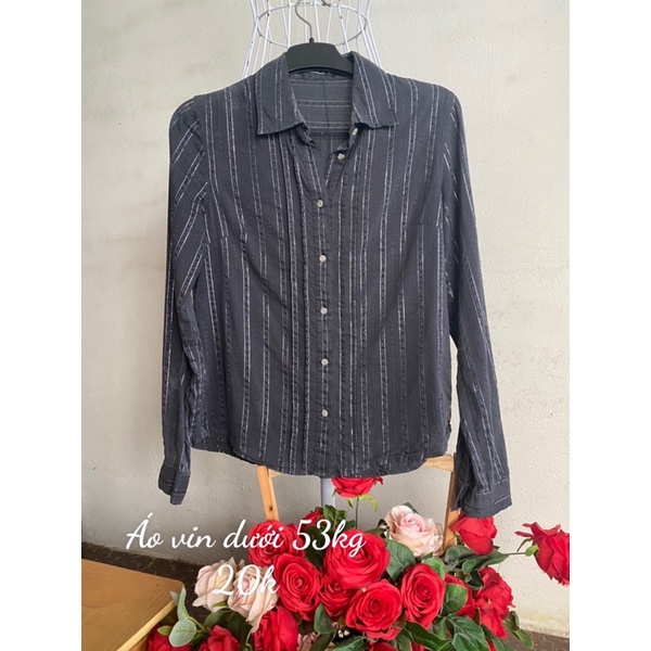 Áo vin dài tay kiểu