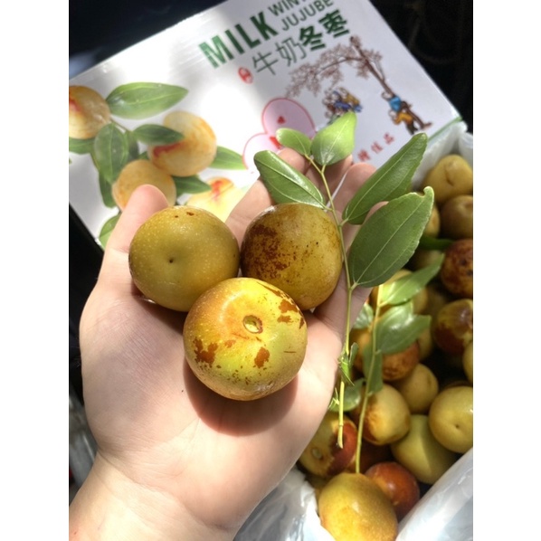 HỒNG TÁO - SIÊU GIÒN NGỌT