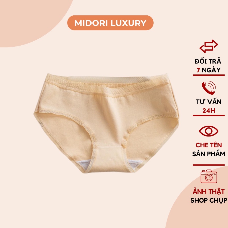 QUẦN LÓT COTTON 365 KHÔNG HẰN KHÁNG KHUẨN CHỐNG HPV 10 MÀU BIG SIZE