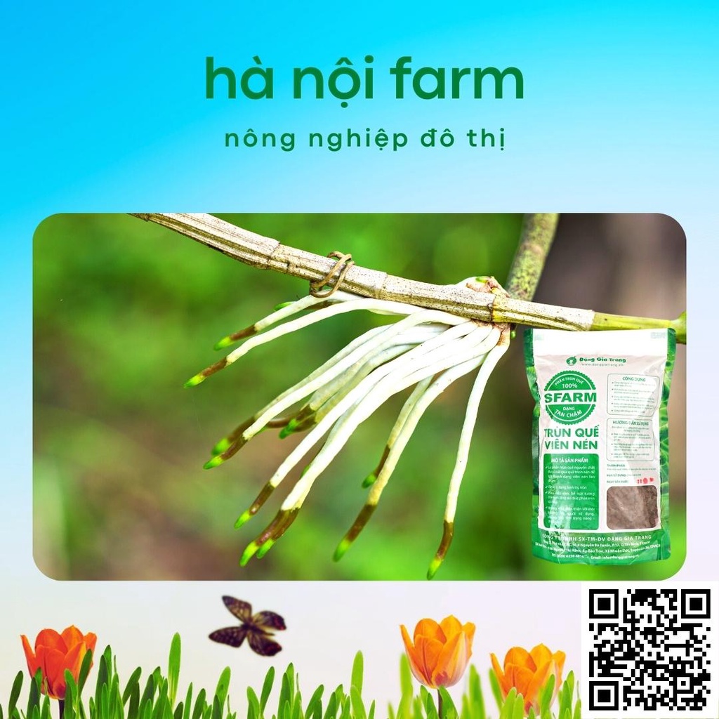 Phân trùn quế dạng VIÊN Sfarm Đặng Gia Trang 1kg, phân tan chậm dành cho hoa lan cây cảnh