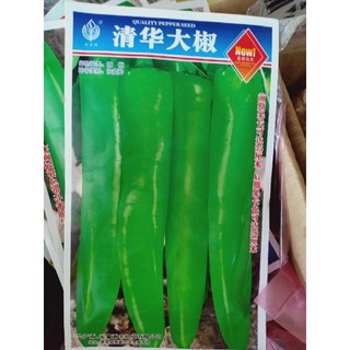 ớt ngọt trung quốc năng suất và thị trường ưa thích