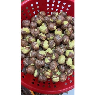[ 1ki HẠT DẺ TƯƠI BÓC VỎ SĂN LOẠI 1 ] bóc tươi không qua đông lạnh