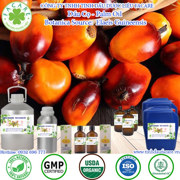Dầu Cọ - Palm Oil 1000ml