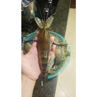 Bánh phồng tôm .