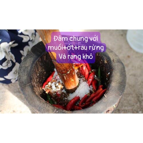 MUỐI KIẾN VÀNG NGUYÊN CON KHÔ NGON Đặc Sản Tây Nguyên Gia Lai