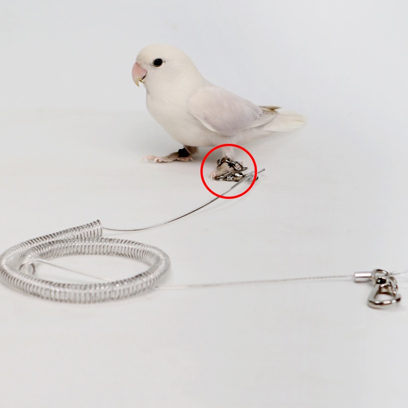 5mm Nhẫn đeo chân vẹt có số,Vòng đeo chân chim nhôm đóng mở và dễ dàng thao tác