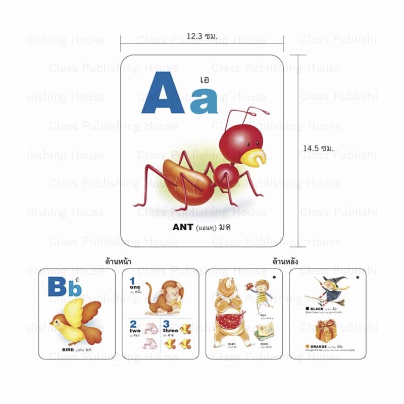 Bộ thẻ Flashcard 44 phụ âm tiếng Thái Lan và bộ thẻ ABC kèm từ ví dụ và hình minh hoạ