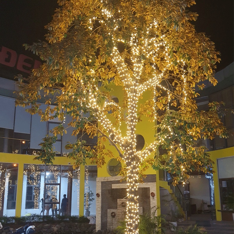 Combo led quấn cây và nguồn  trang trí ngoài trời