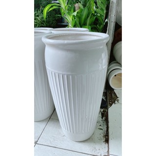 Chậu Trồng Cây Lớn