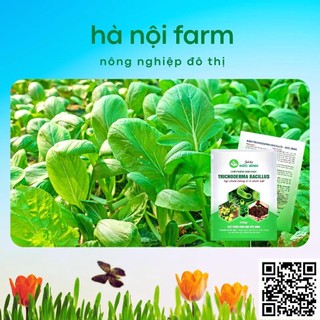 Men ủ sinh học TRICHODERMA BACILILUS gói 200g, tricho đức bình