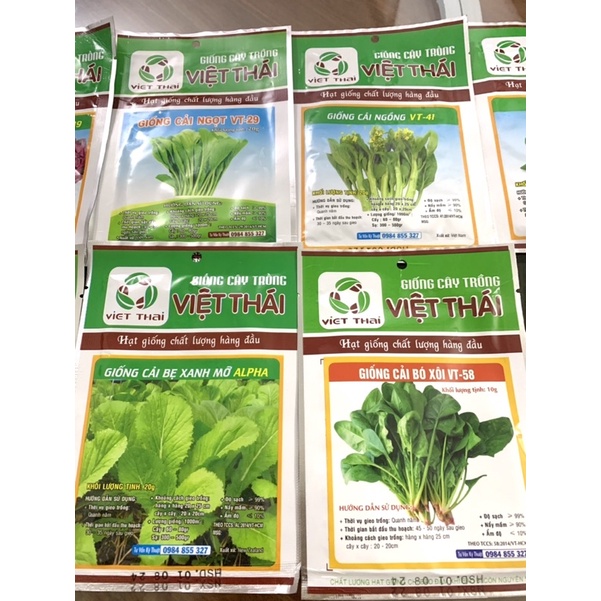 COMBO 10 GÓI HẠT GIỐNG RAU ĂN LÁ ĐỦ LOẠI  gieo trồng quanh năm