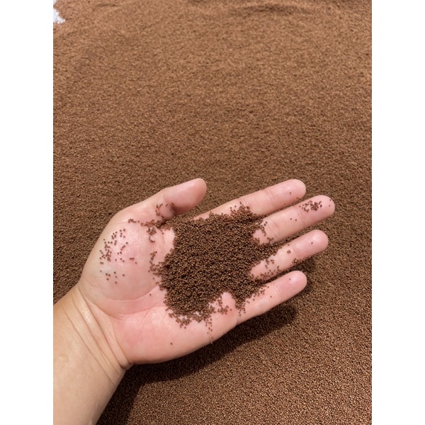 Cám Cá Vàng Củ Chi Goldfish