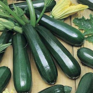 hạt giống ngòi xanh  thái lan 10 hạt Hàng CTY