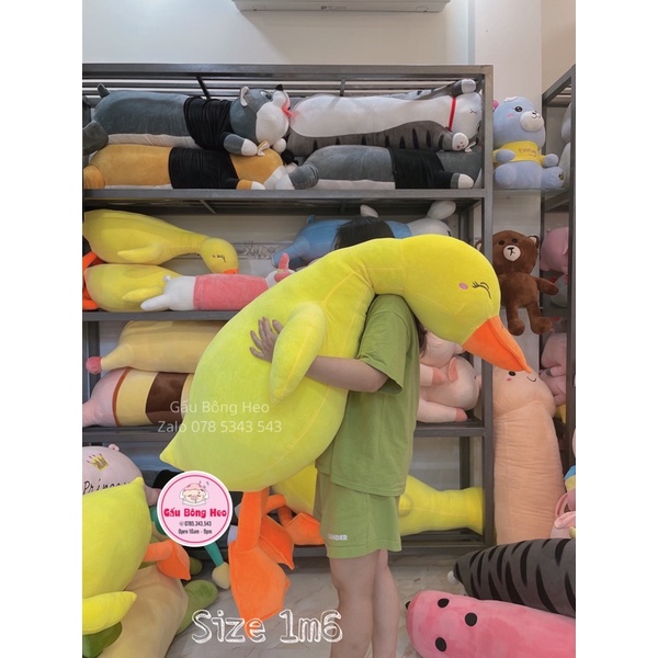 Gấu Bông Vịt Vàng Trầm Cảm Siêu Hot size To 1M/1M3/1M6