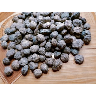 500 gram hạt sấu giống