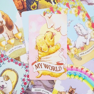 Bộ Bài Aibo Tarot 78 Lá Bài E116