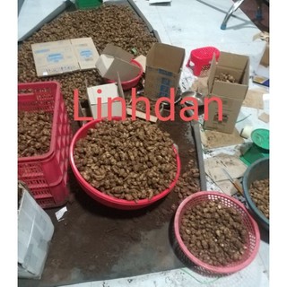 Củ xá kén / xá kiếng tươi 1kg 85k