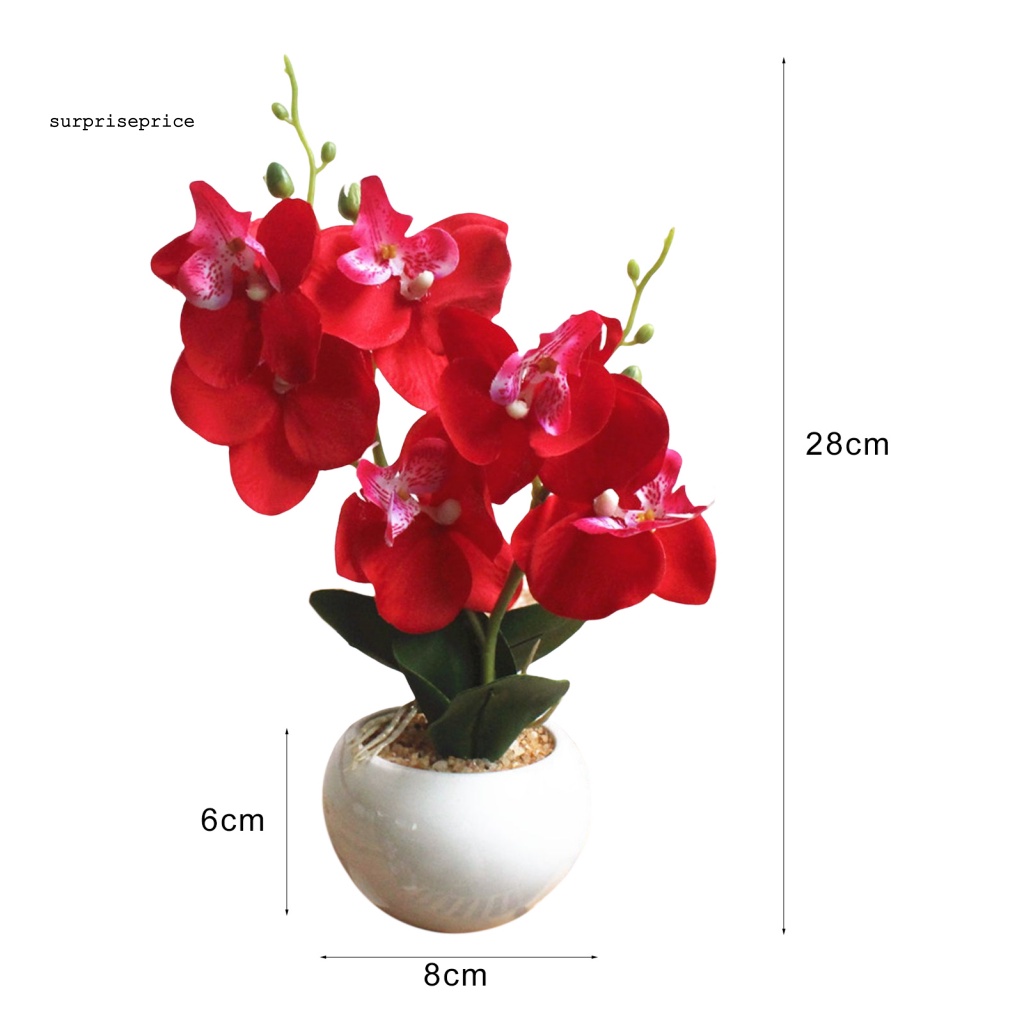 Chậu Cây Bonsai Giả Trang Trí Phòng Ngủ / SPA