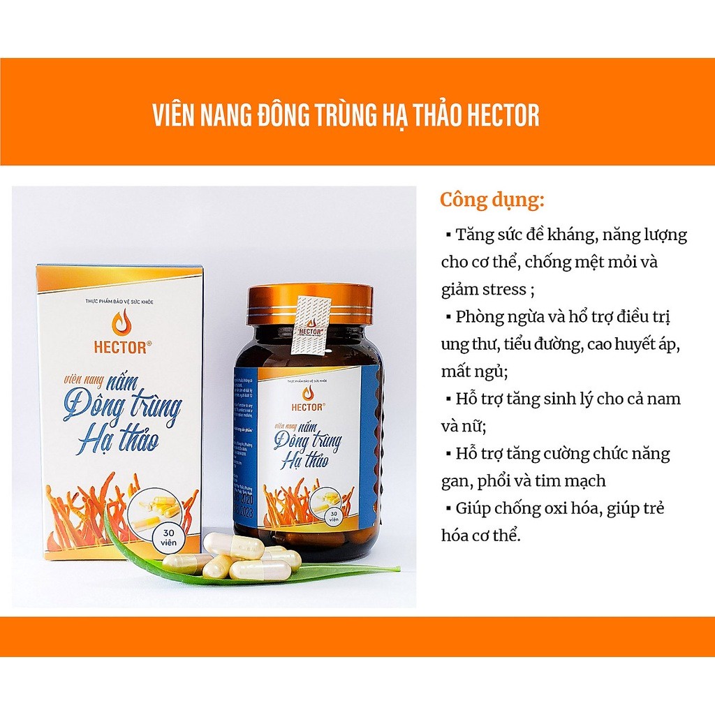 Viên nang đông trùng hạ thảo Hector tốt cho sức khỏe 30 Viên - AJA'S SKINLAB