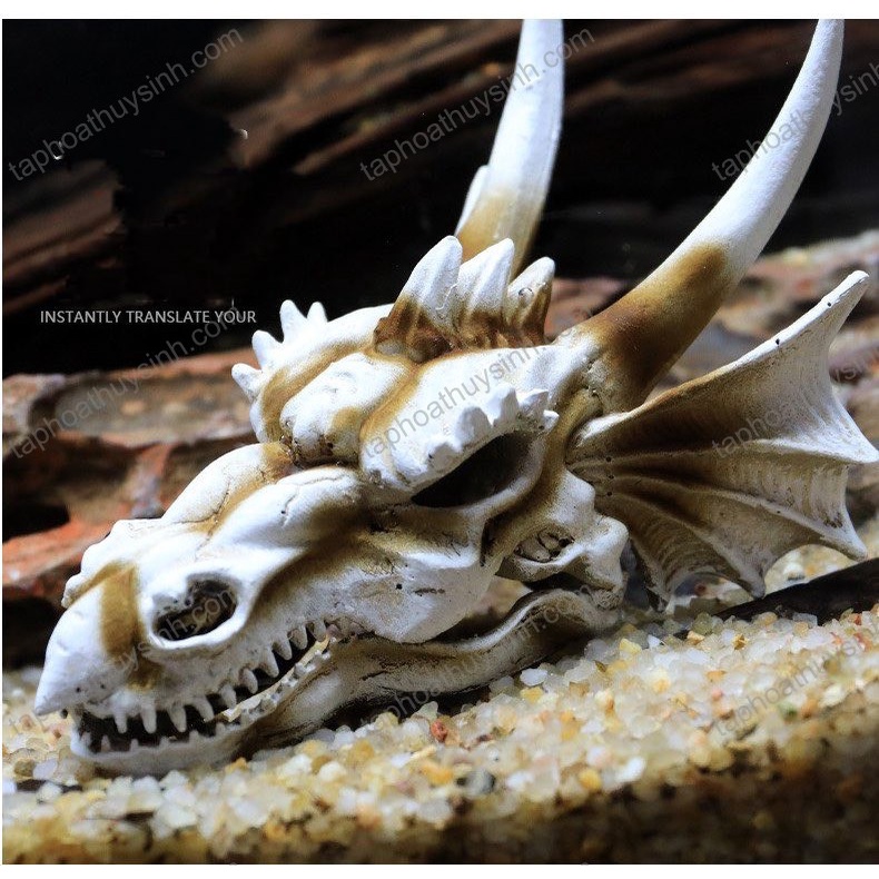 MÔ HÌNH ĐẦU RỒNG Dragon Skull TRANG TRÍ BỂ CÁ CẢNH CÁ SĂN MỒI CÁ LÓC CẢNH