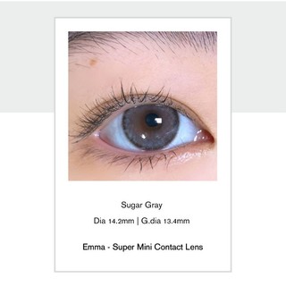 🌸 Kính Áp Tròng Sugar Gray - Lens xám tây giãn vừa/ Emma Super Mini Contact Lens 🌸