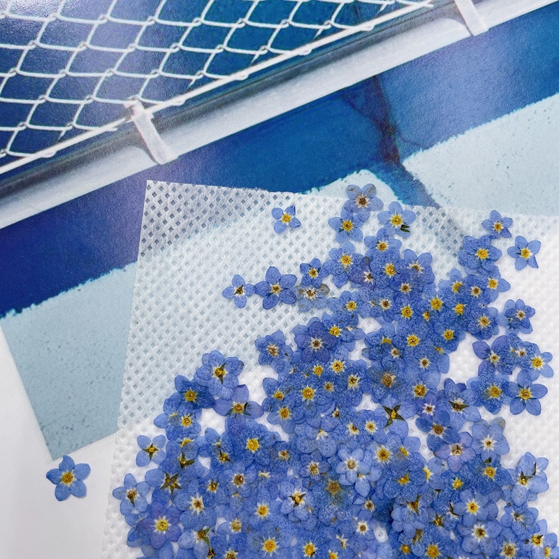 Bộ 20 Bông Hoa Khô Dùng Làm Trang Sức Thủ Công