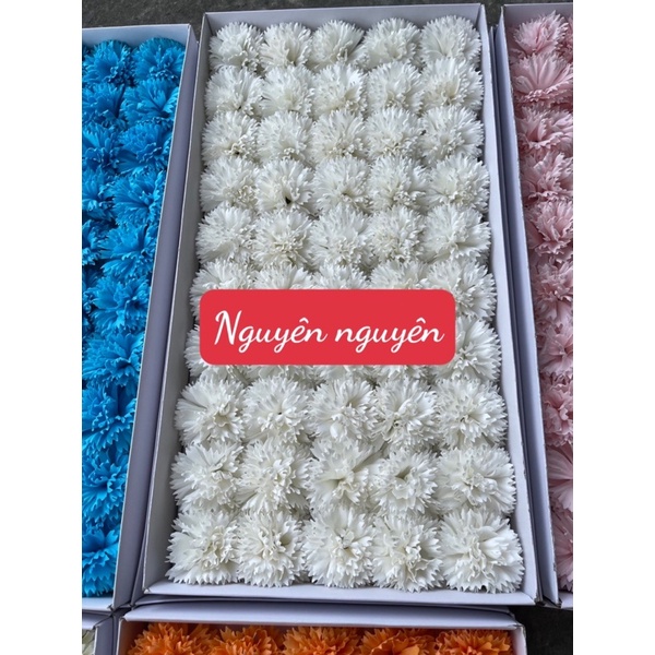 Cẩm chướng xù sáp hộp 50 bông