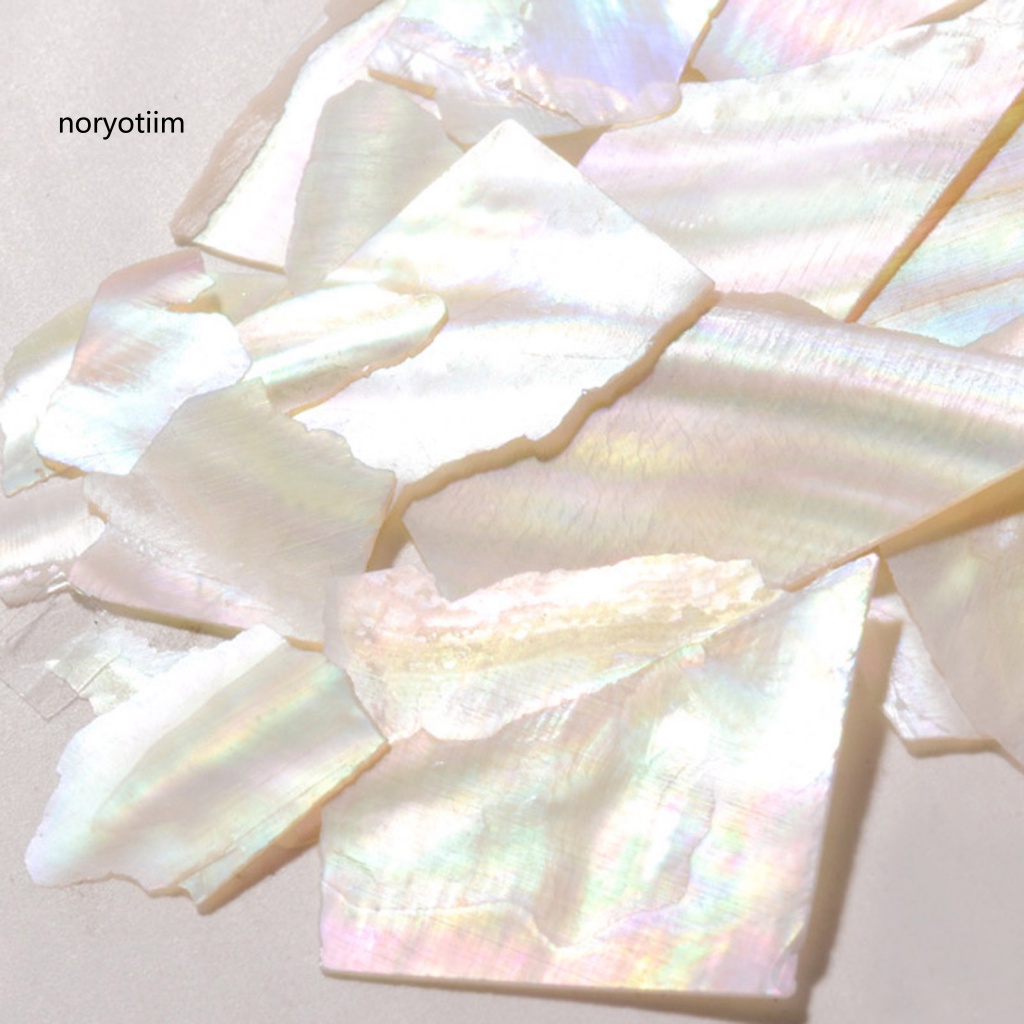 NOR| 1Box Nail Ornament High-bright Fine Shells Manicure Ornament Exquisite