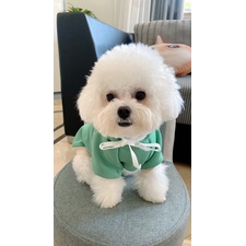 Áo mũ trùm tai thỏ dành cho thú cưng - Màu thật đậm hơn