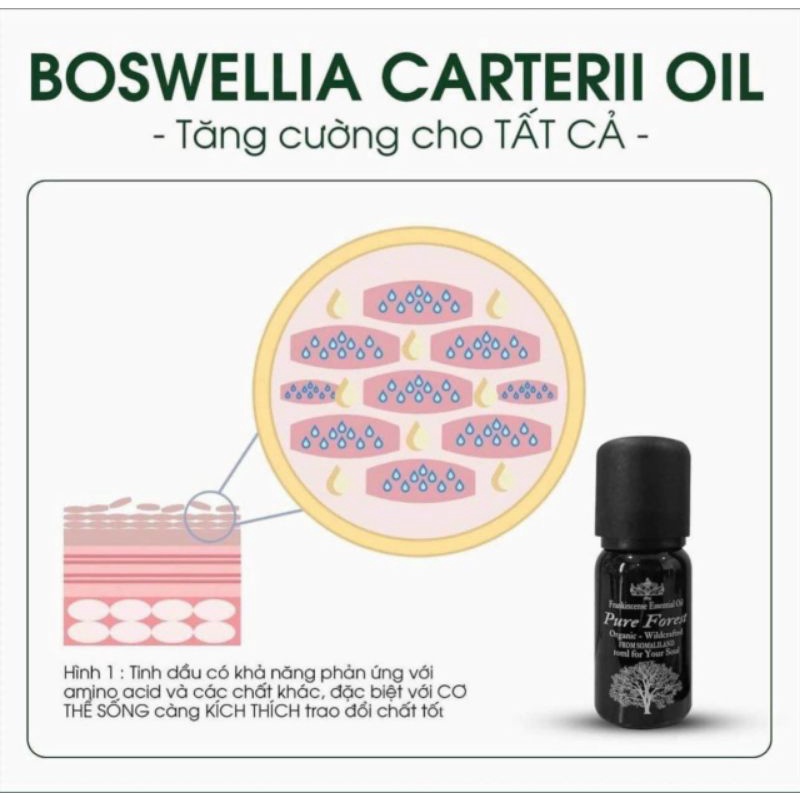 timh chất tăng cường Frankincense Oil căng bóng xóa nhăn, làm trắng